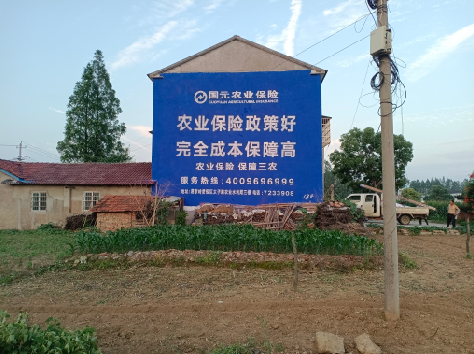 思礼墙体广告为何受追捧？